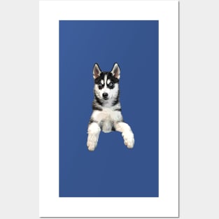 Siberian Husky Puppy Dog Posters and Art